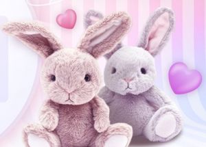 BUNNY OKAYAMA(バニーオカヤマ)