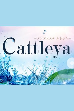 カトレヤ(Cattleya)